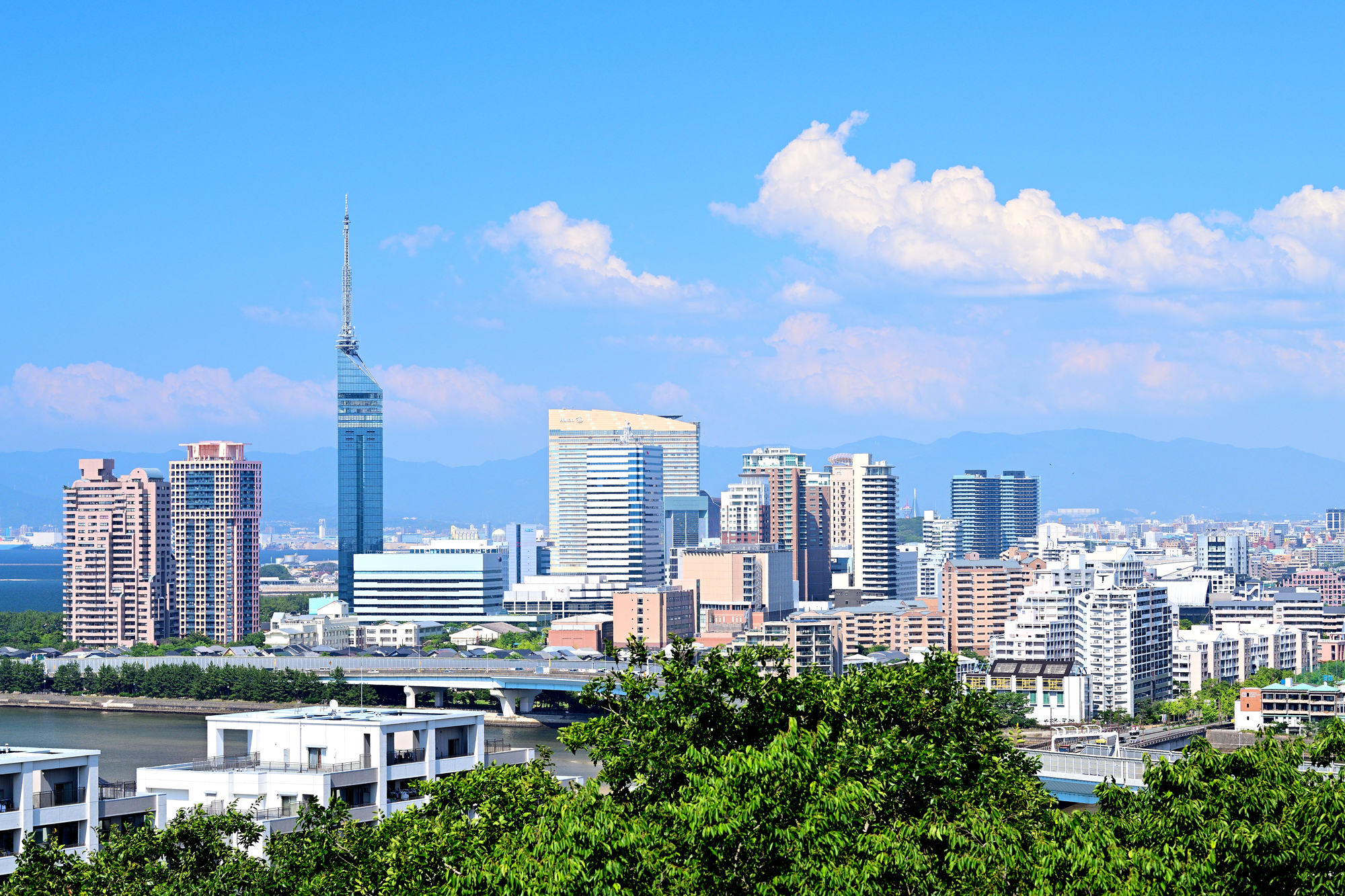 税理士法人 朝日中央綜合事務所